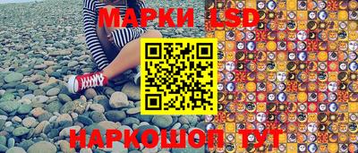 мяу мяу мука Ачхой-Мартан