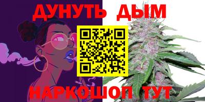 мяу мяу мука Ачхой-Мартан