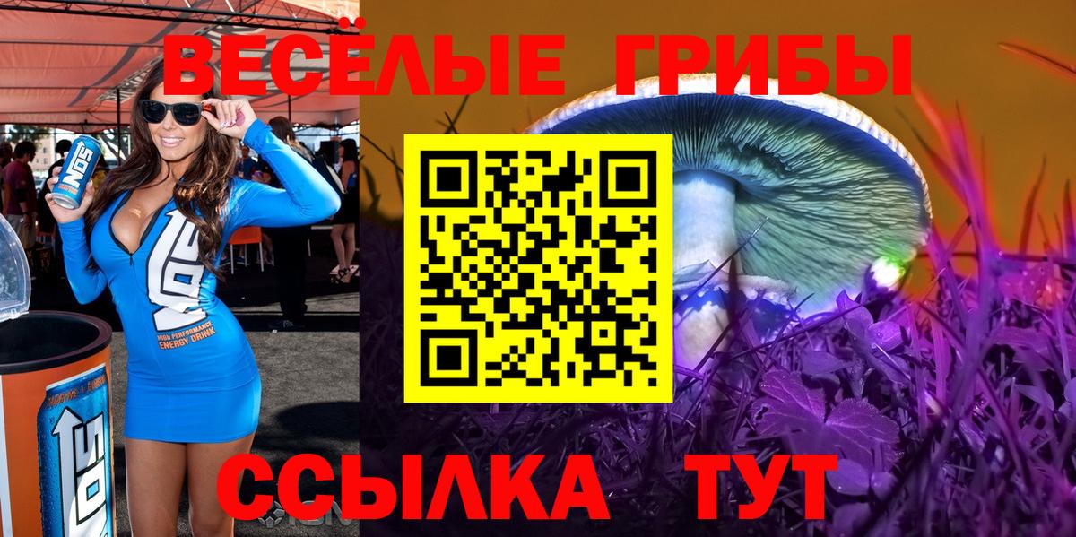 Псилоцибиновые грибы MAGIC MUSHROOMS Гатчина